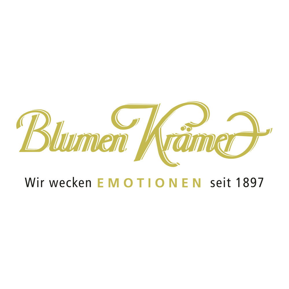 Blumen Krämer (Blumenladen)